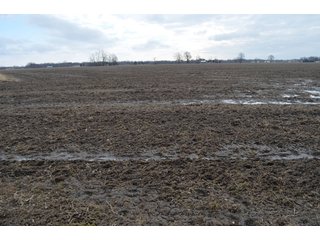 Property photo 10 - 173 +/- Acres Offered in 3 Tracts - Ohio Farmland